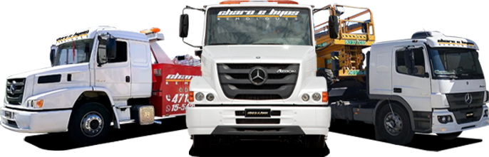 Flota completa de camiones grúa y carretones